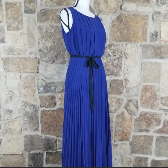🪴HP🪴 Eliza J Pleated Full Length Maxi Dress Size 6 - Picture 3 of 8